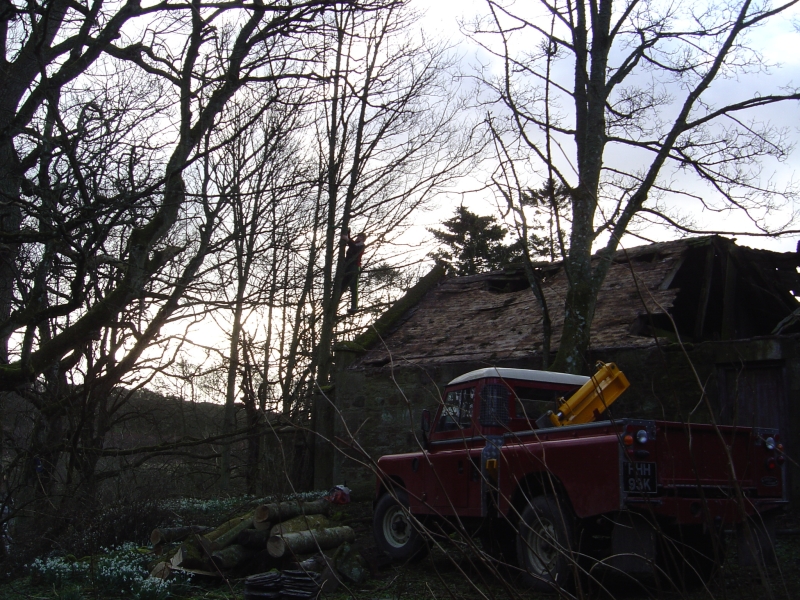 10th March 07 015